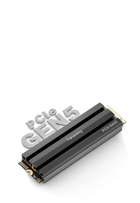 Solid State Drive